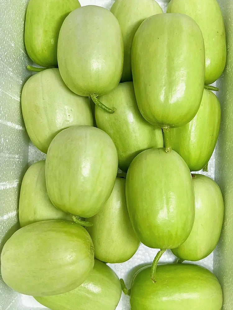 Jade Maiden Cucumber