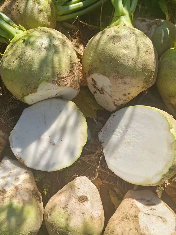 'Erdaomei' Root Mustard