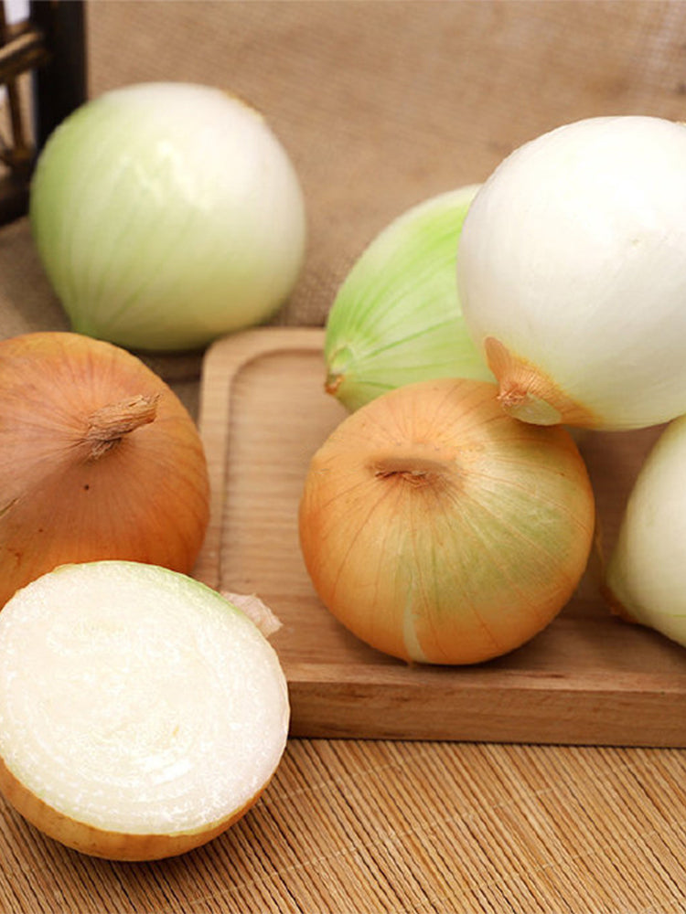 Imperial Topaz' Yellow Onion (Allium cepa L.)
