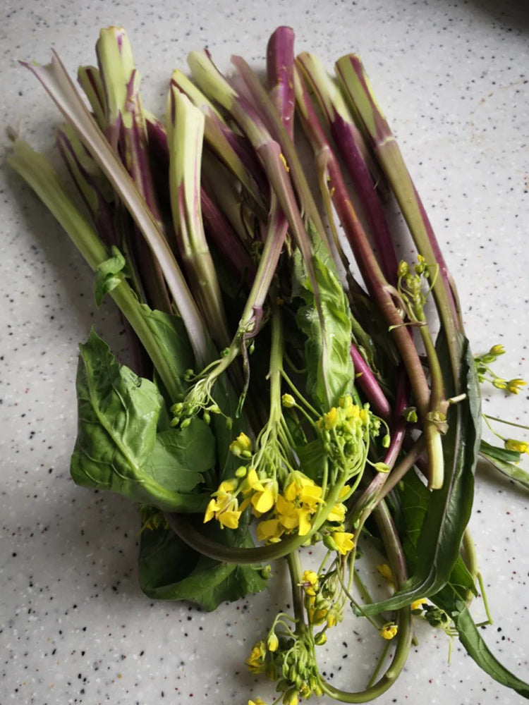 Curly-Leaf Red-Stem Chinese Kale