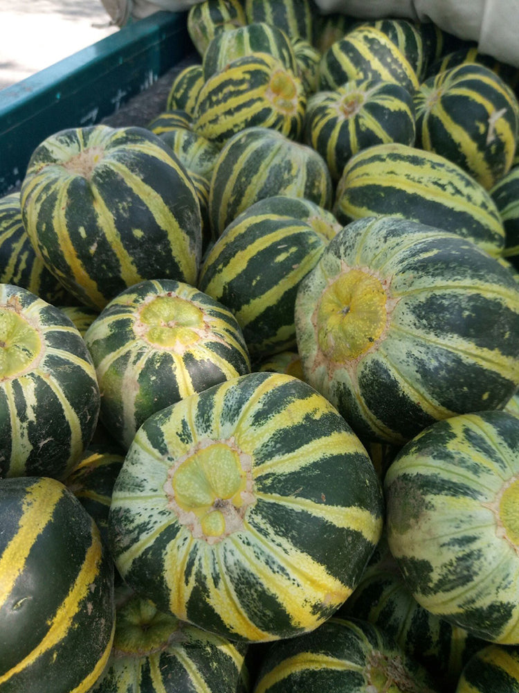 Bing Tangzi Melon