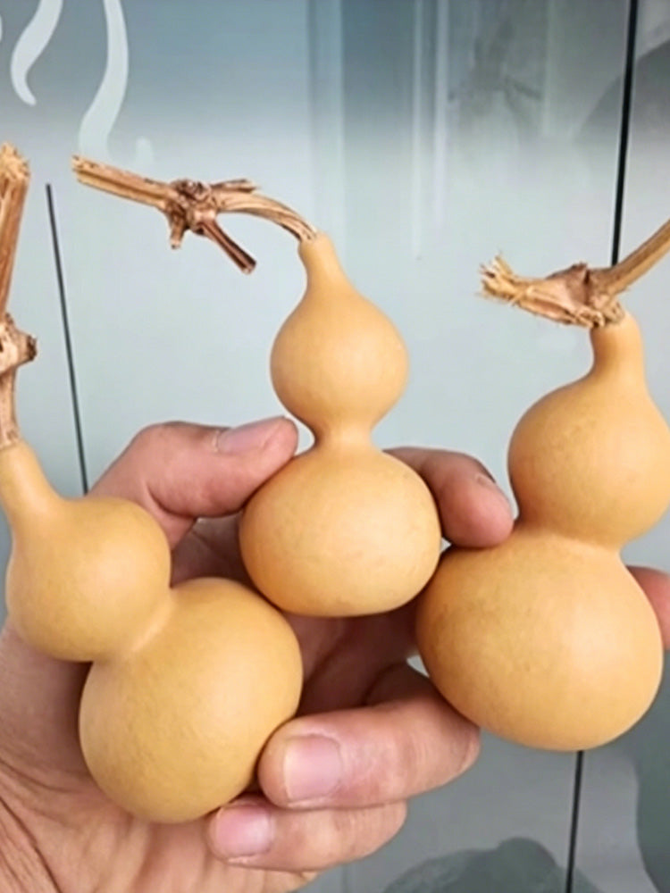 Extra Small Bottle Gourd