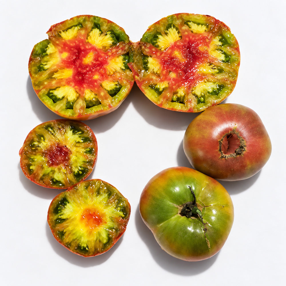 489 Jarson 1 Tricolor Tomato