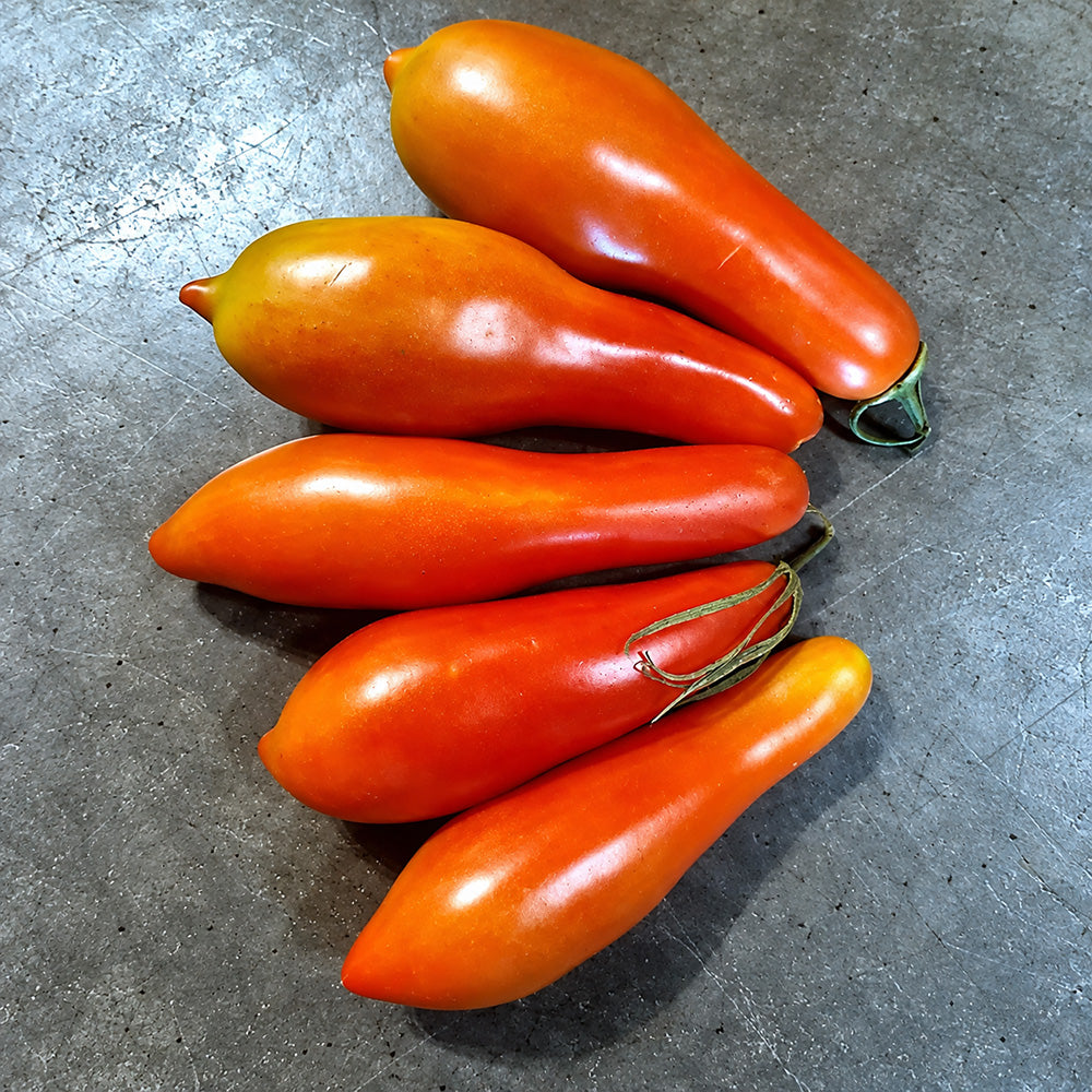 223 Royal Finger Tomato