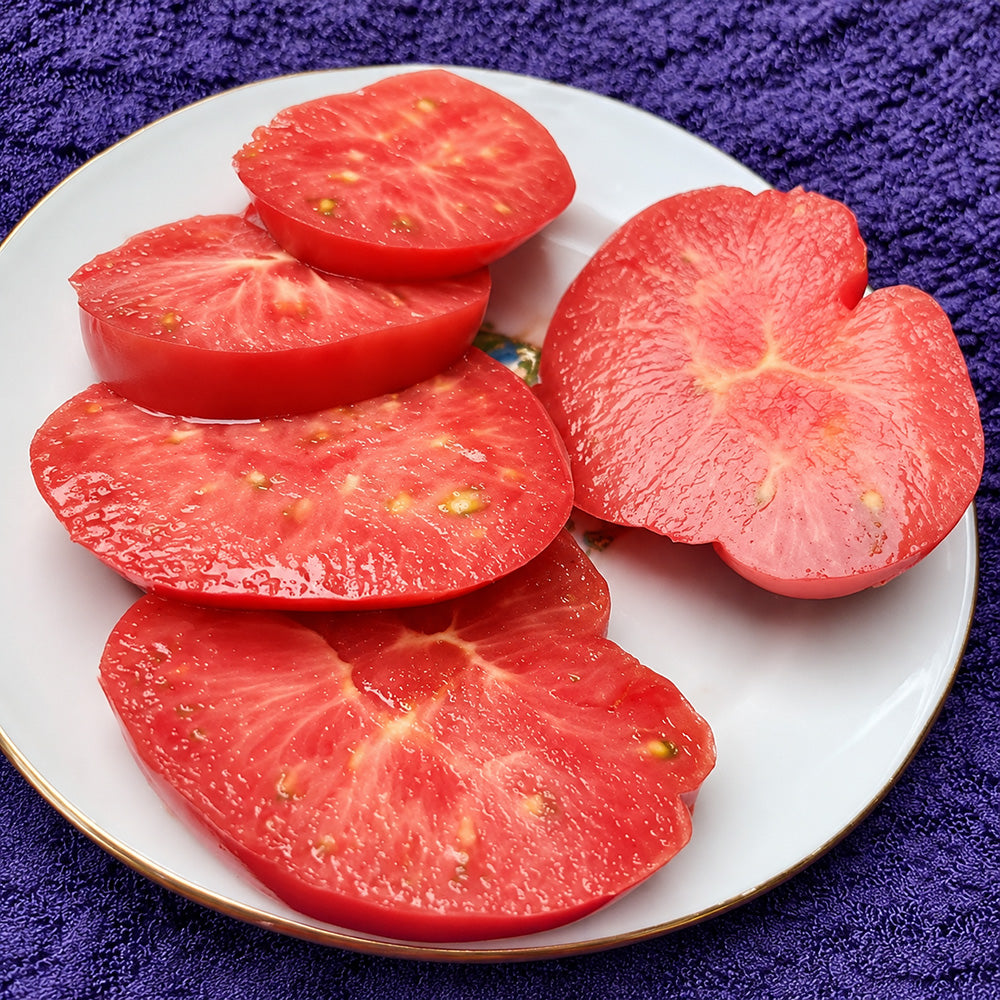 93 Granny Harriet's Heirloom Tomato