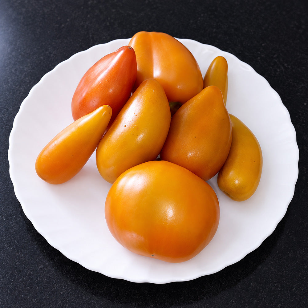 377 Bronze Heart of Angel Tomato