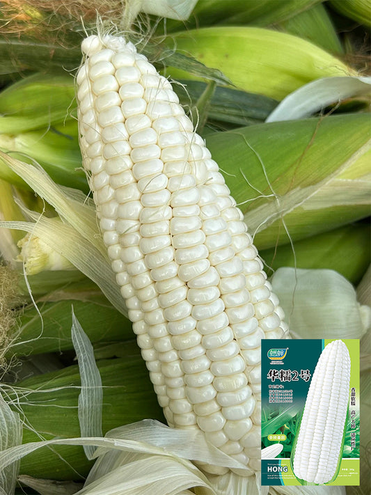 Huanuo No.2 Waxy Corn