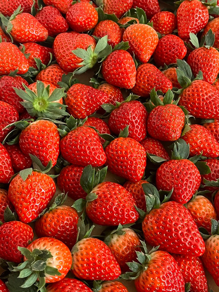 Four Seasons Cream Strawberry