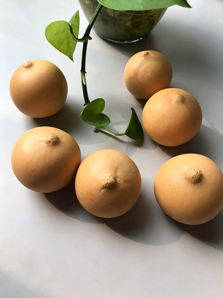 Egg Gourd