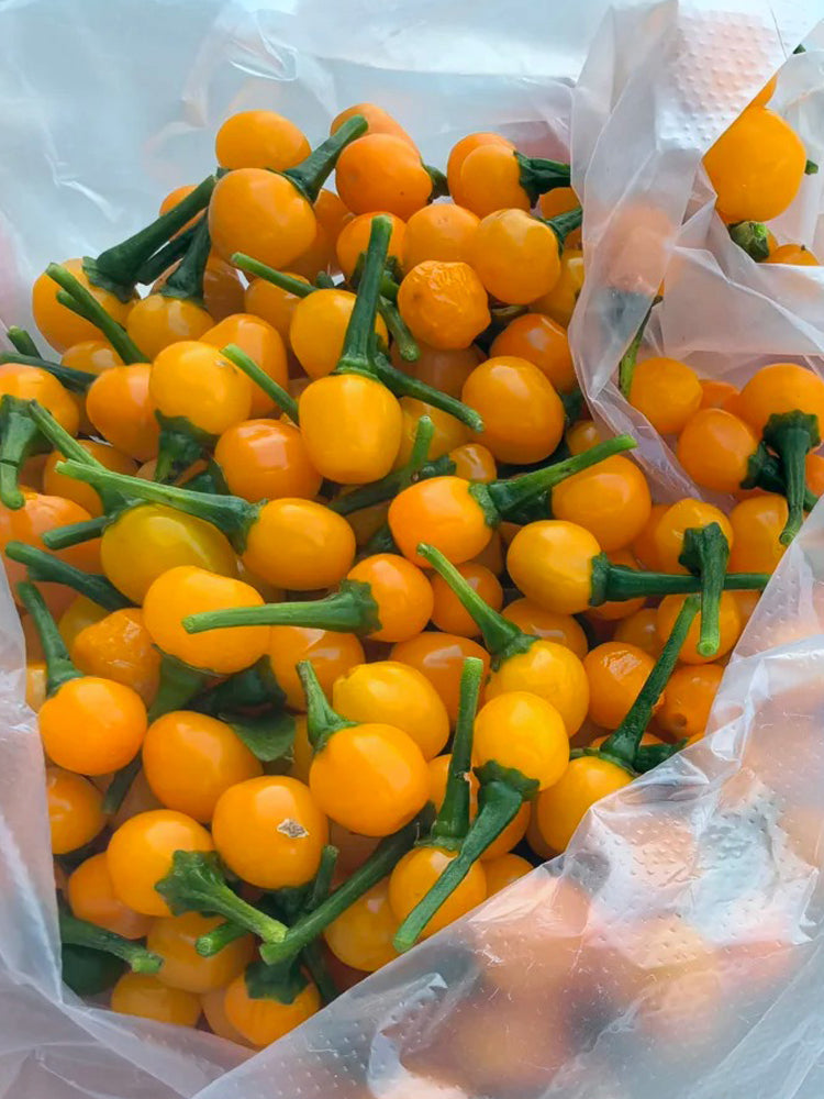 Aji Charapita
