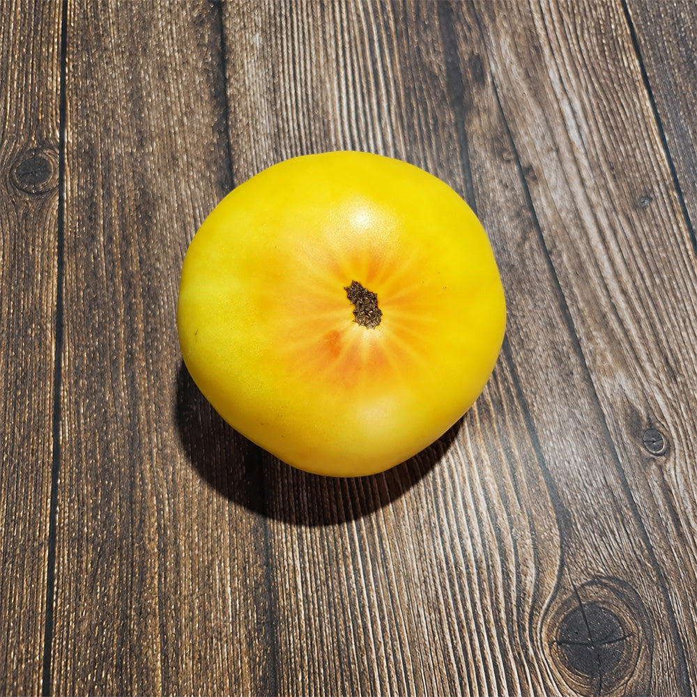 282 Weary Sun Tomato