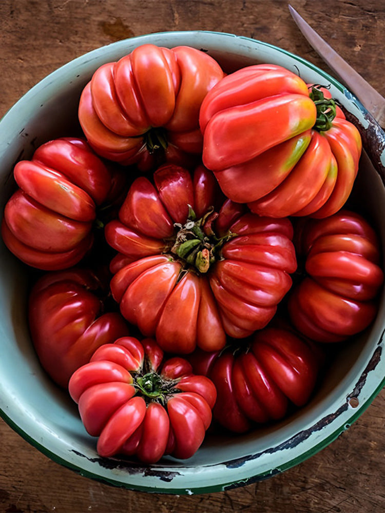 Mushroom Basket Tomato