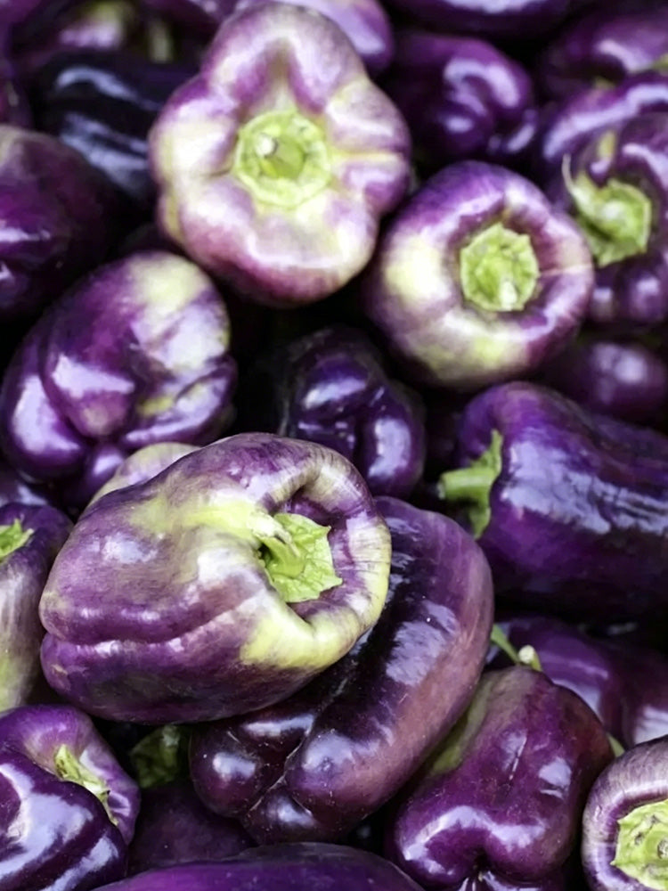 Shouhe Amethyst Sweet Pepper
