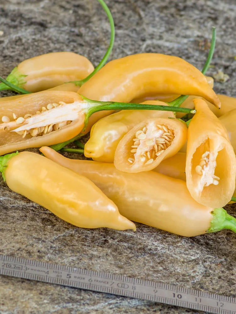 Sugar Peach Pepper