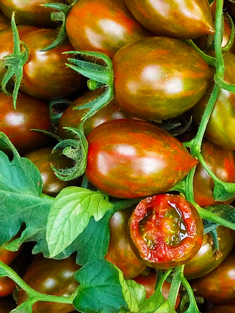Royal Violet Cherry Tomato