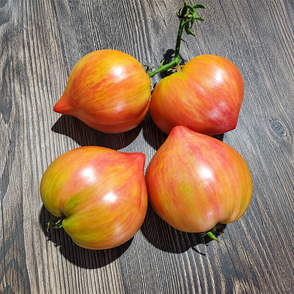 278 Red Dragon Heart Tomato