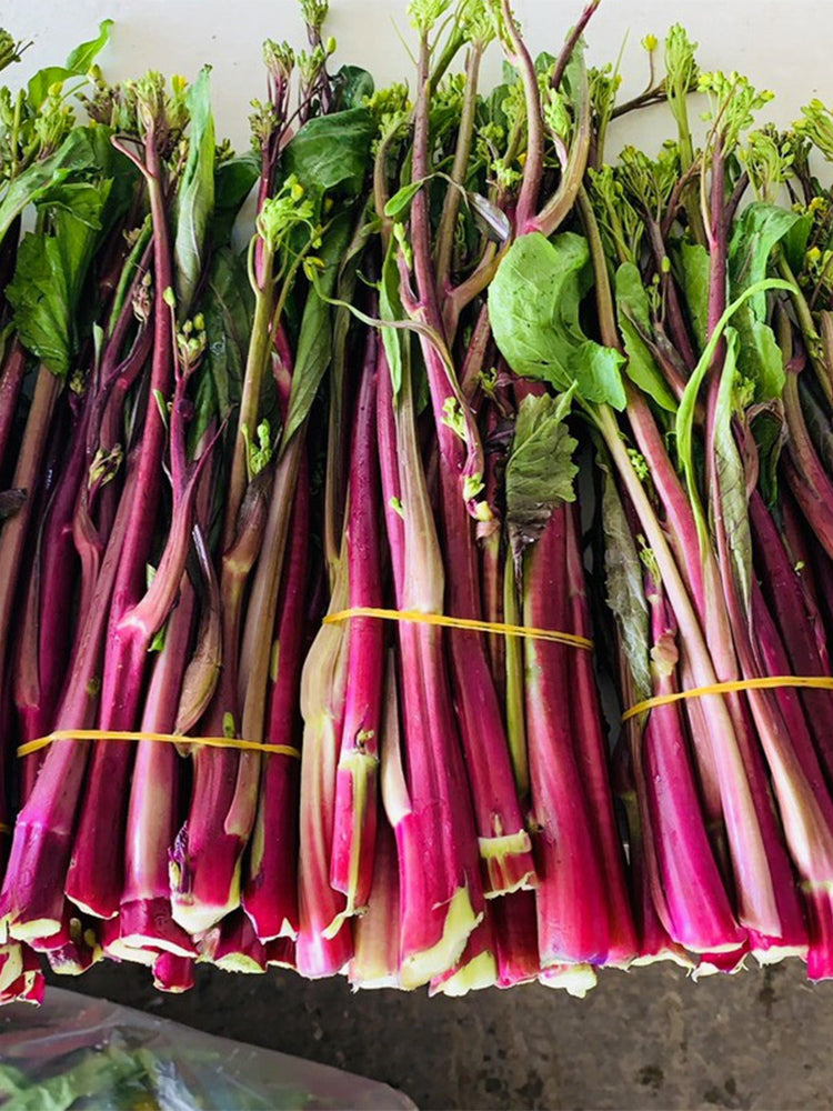 'Bright Red 65' Flowering Stalk