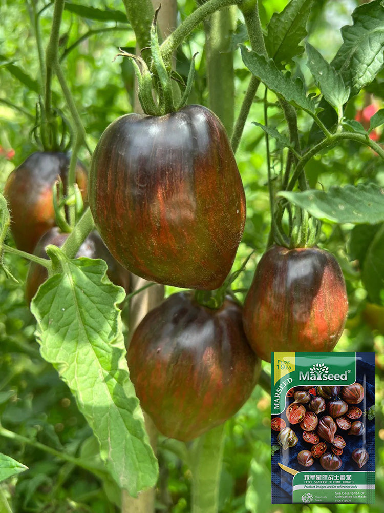 Cosmic Heart Rebel Space Warrior Tomato