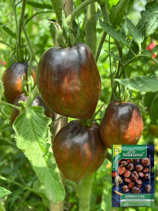 Cosmic Heart Rebel Space Warrior Tomato