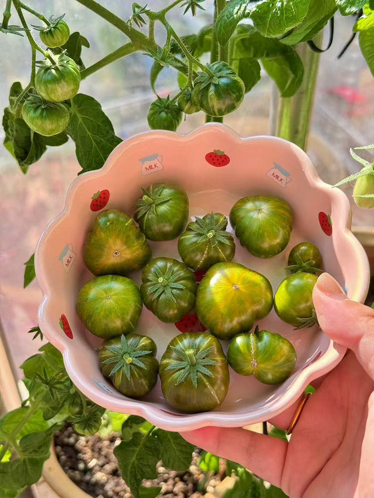 'Eden Micro Tiny No.4' Tomato