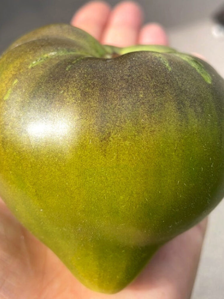 957 Sophia Green Heart Tomato