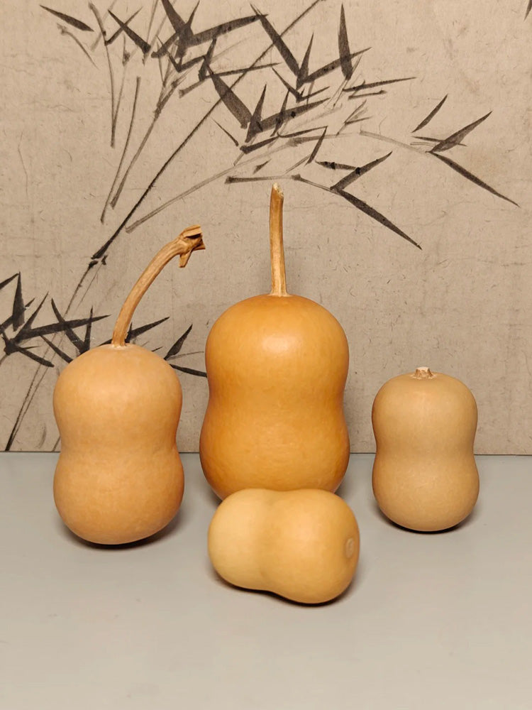 Guoguo Gourd