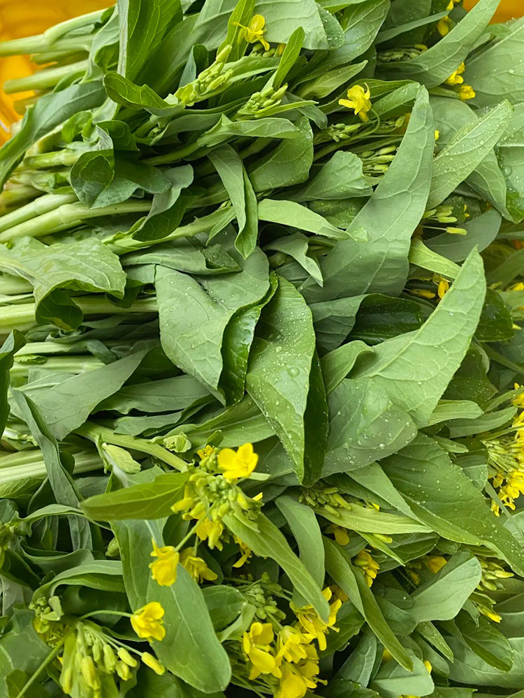 Xueying No. 2 Choy Sum