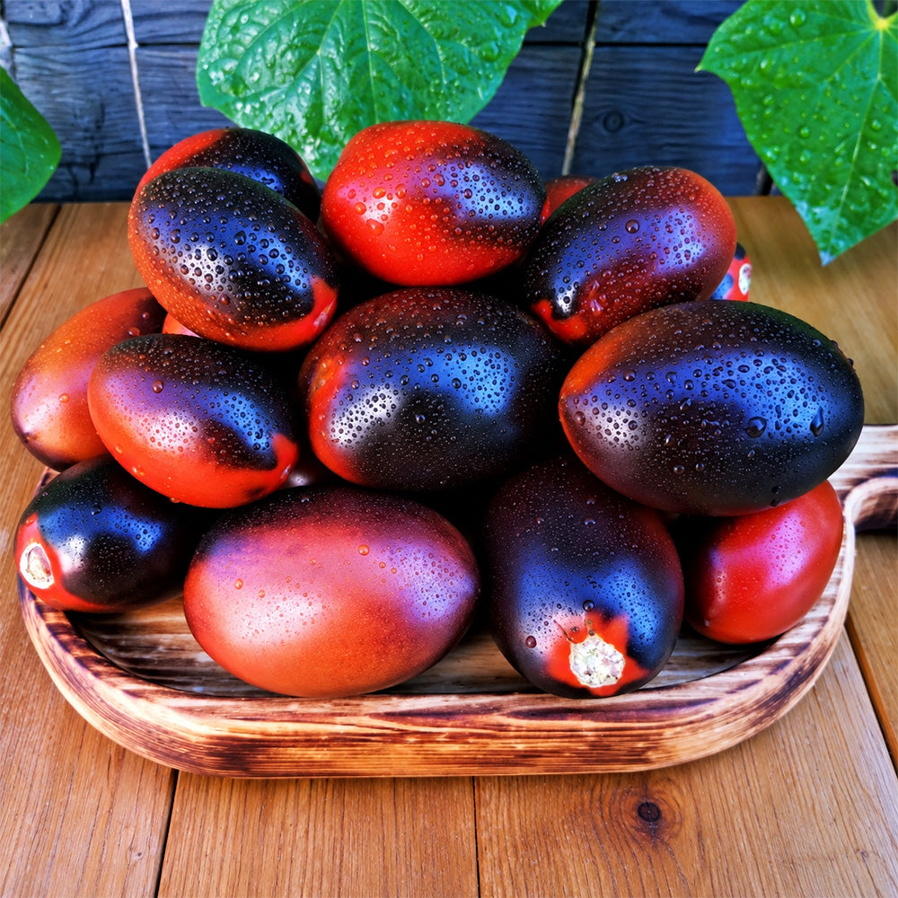 270 Deep Purple F4 Tomato