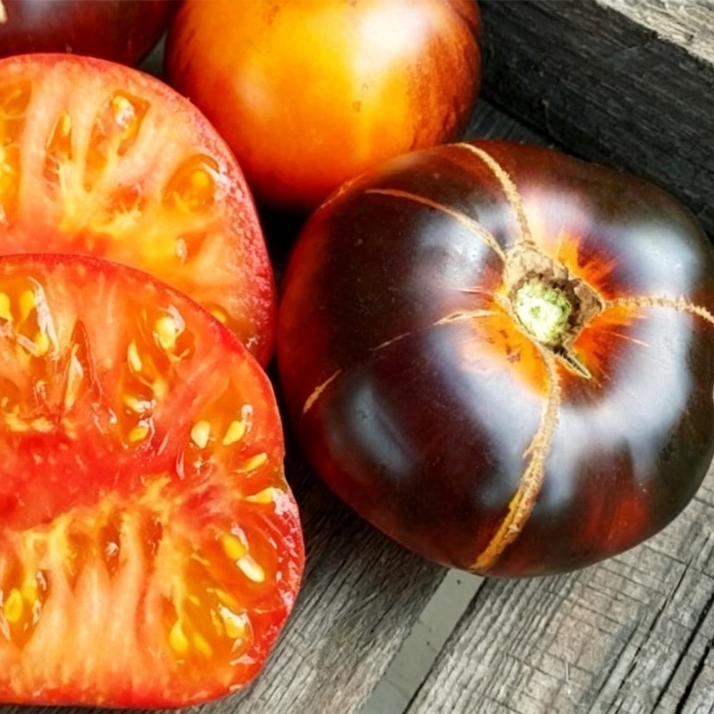 753 Blue Jolies Tomato