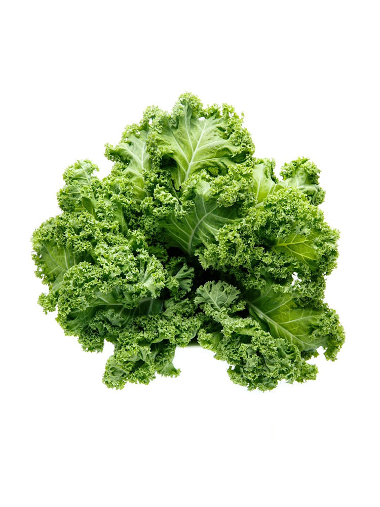 Curly kale (Brassica oleracea var. acephala)