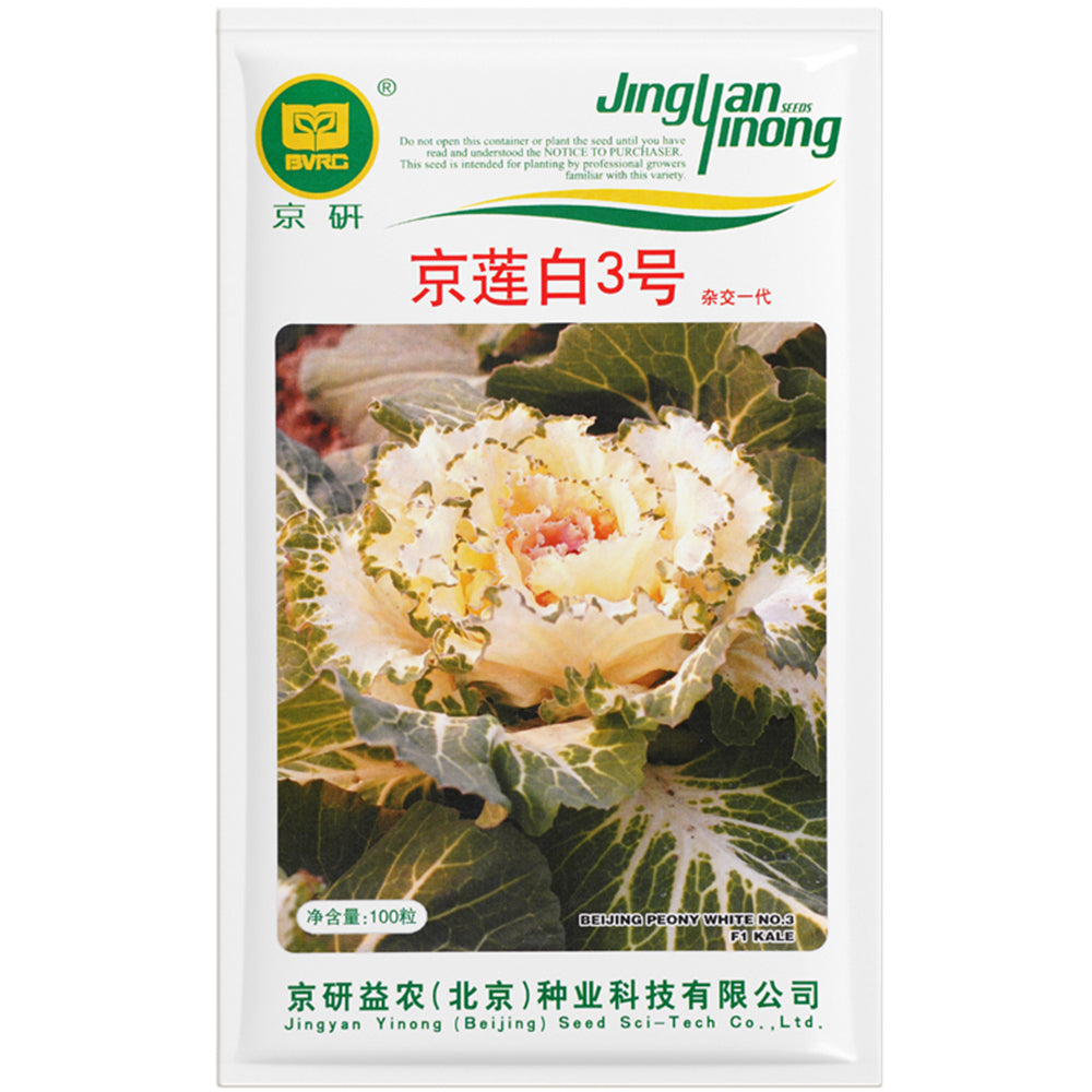 kale flower seeds Kale Seeds, Garden Ornamental Vegetables Flowers, Edible, Pack of 1 –  MUCIAKIE