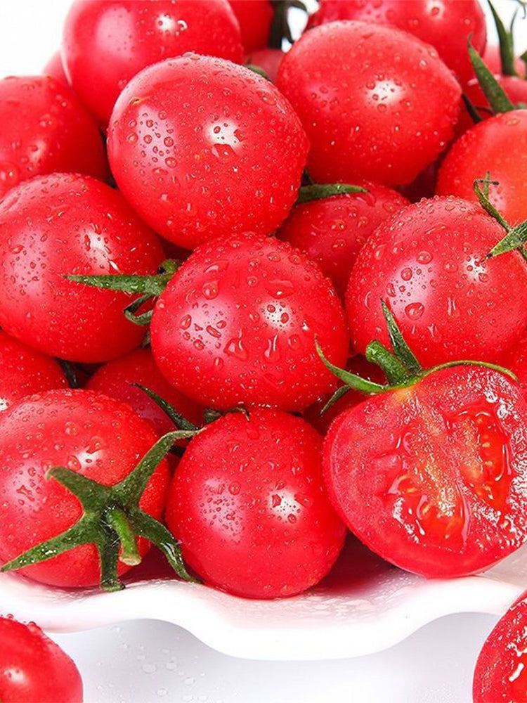 ‘Millennium’ Cherry Tomatoes