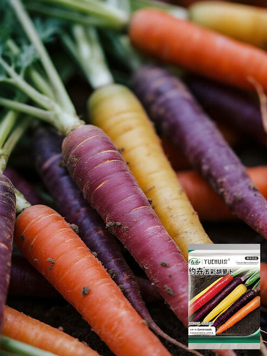 Rainbow Carrot