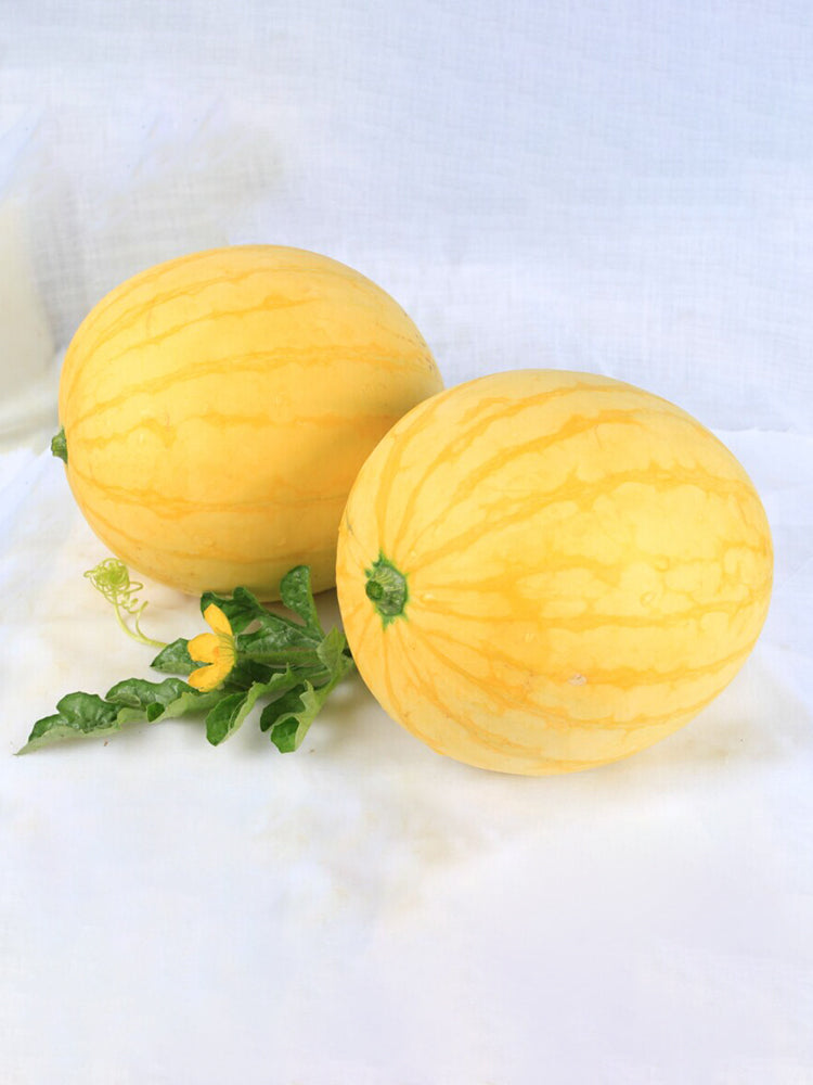 'Fuqi Chaoyang' Watermelon