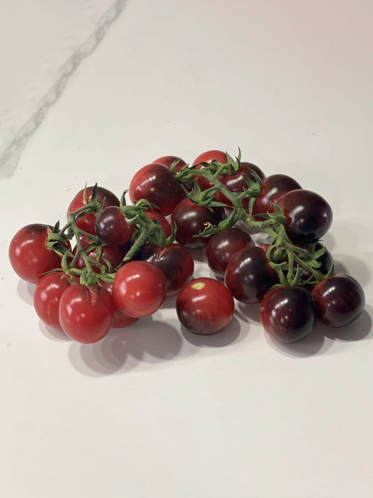 'Fairy Tale Sparkle' Tomato