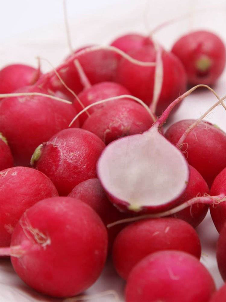 Akahimaru Radish