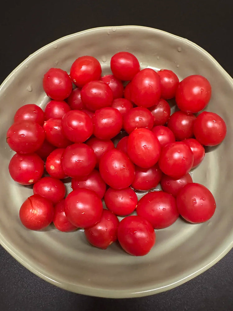 Fen Meina Cherry Tomato