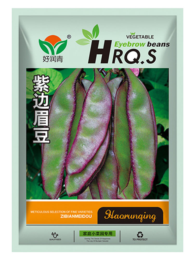 Purple-edged Hyacinth Beans