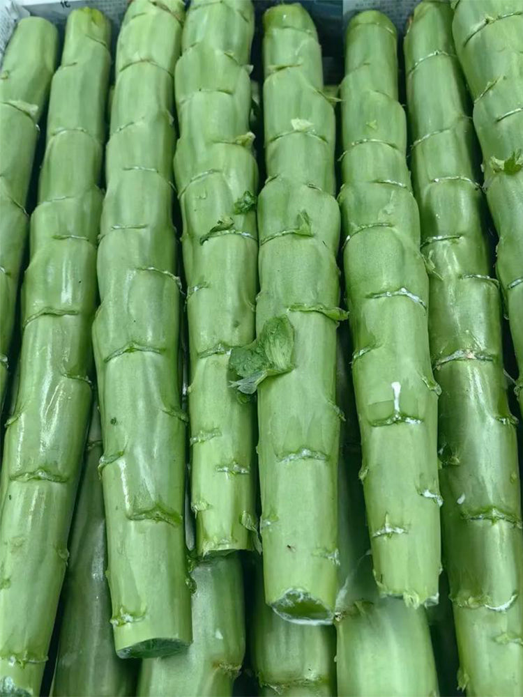 'Jiemei' Green Celtuce