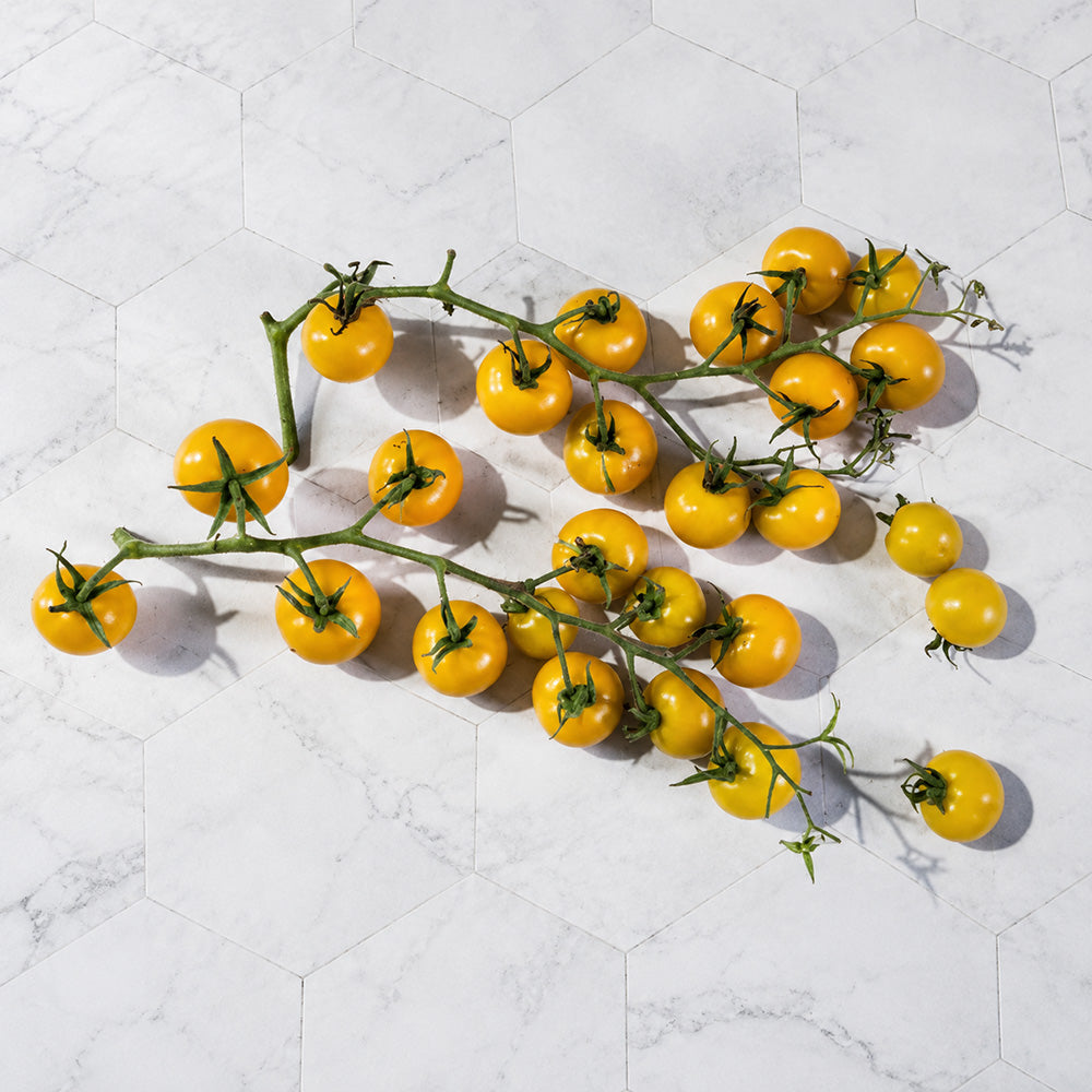 51 Ovelia Tomato