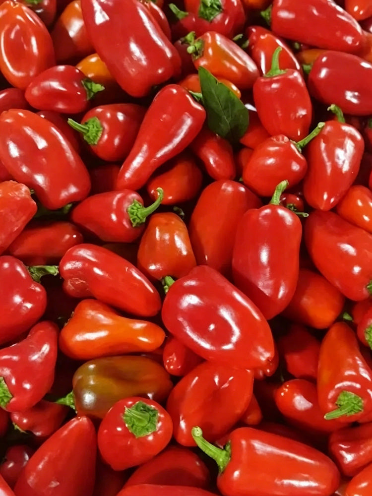 Mixed Color Fruit Pepper