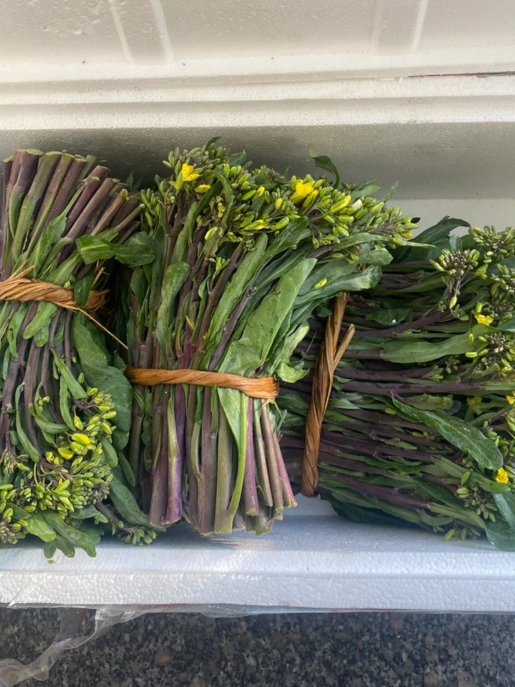 Curly-Leaf Red-Stem Chinese Kale