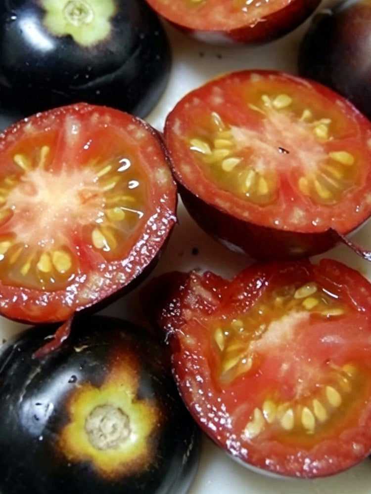 Clackamas Blueberry Indigo Tomato