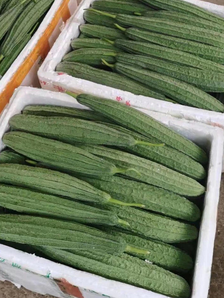 Jiemei Yaxiu No. 2 Luffa