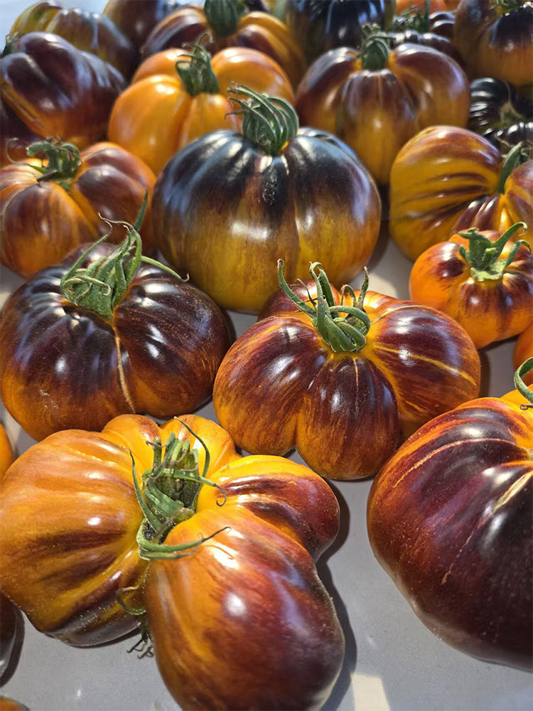 918 Orange Caramel Tomato