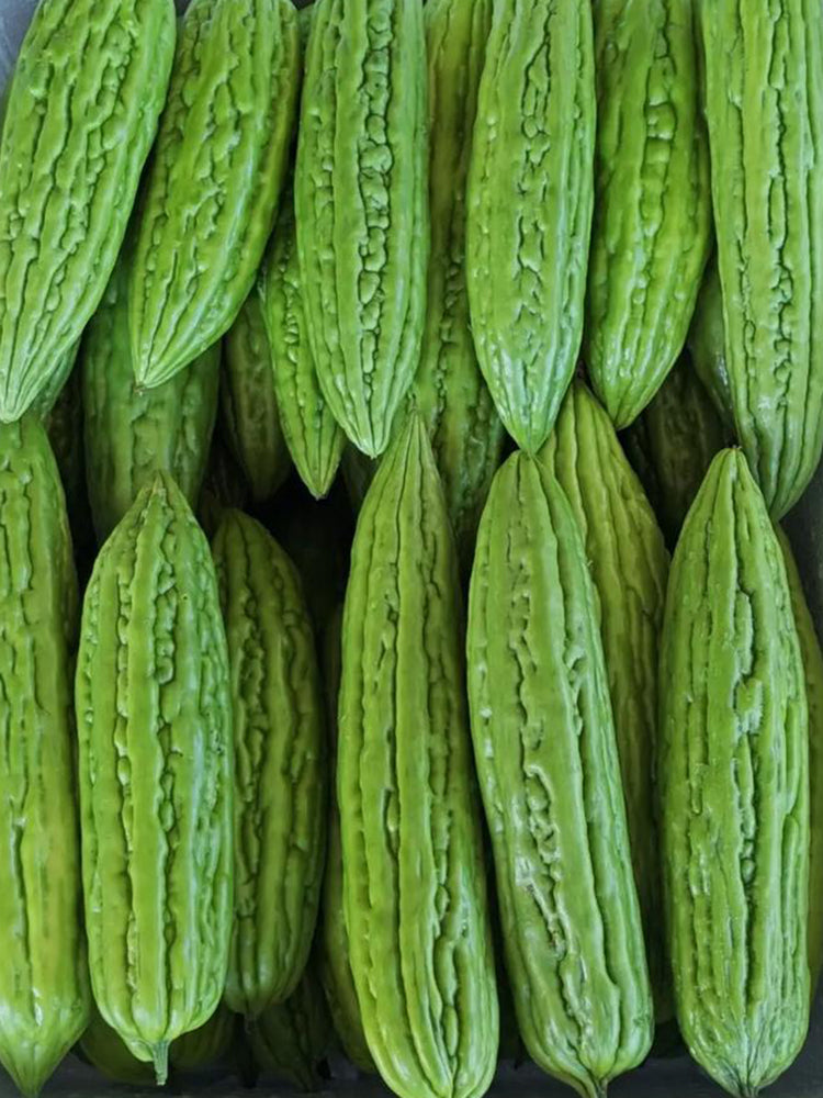 Jiemei 13 Bitter Gourd