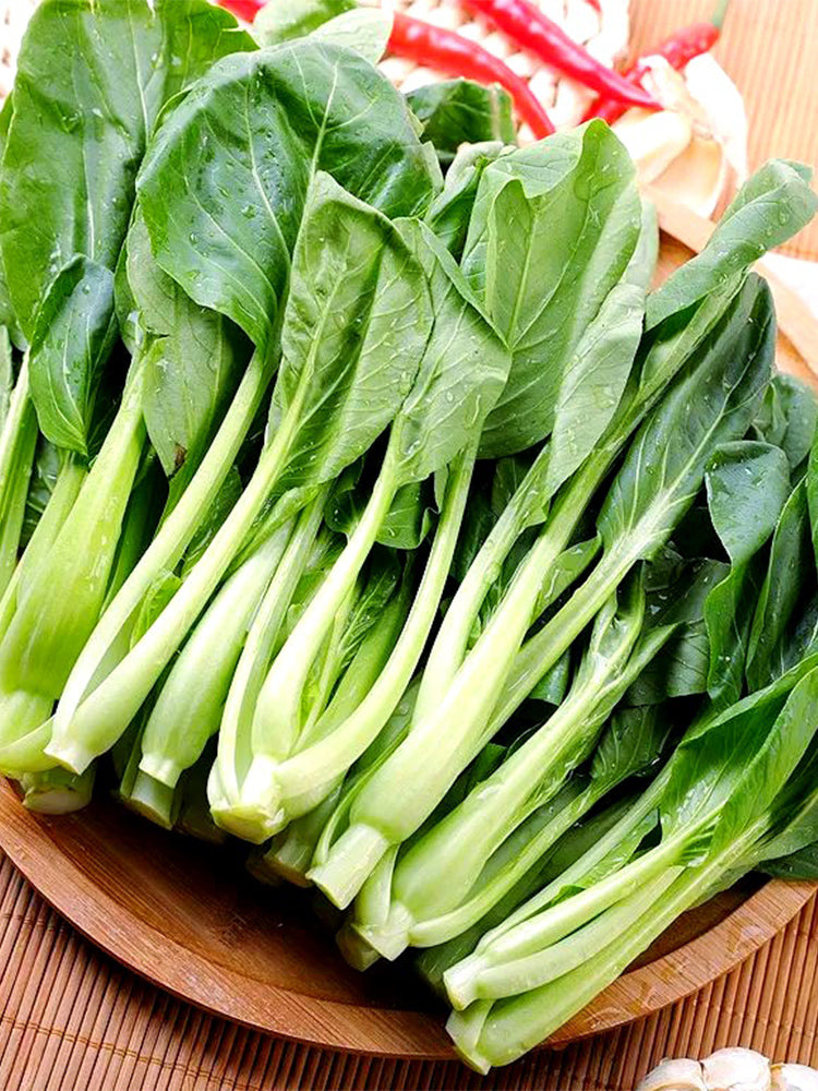 'Tingmei No.1' Baby Bok Choy