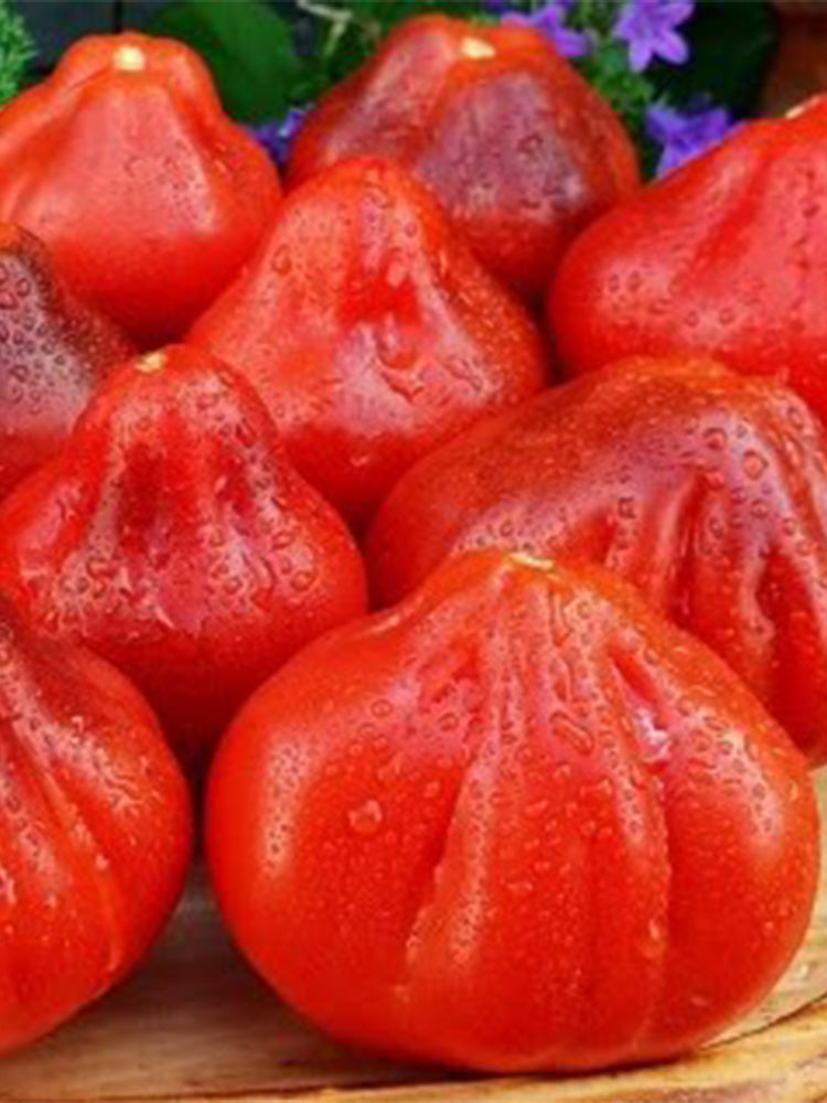 923 Japanese Purple Truffle Tomato