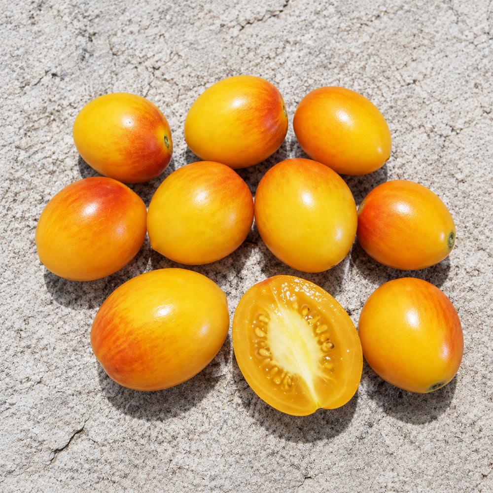 133 Dwarf Dream Weaver Tomato
