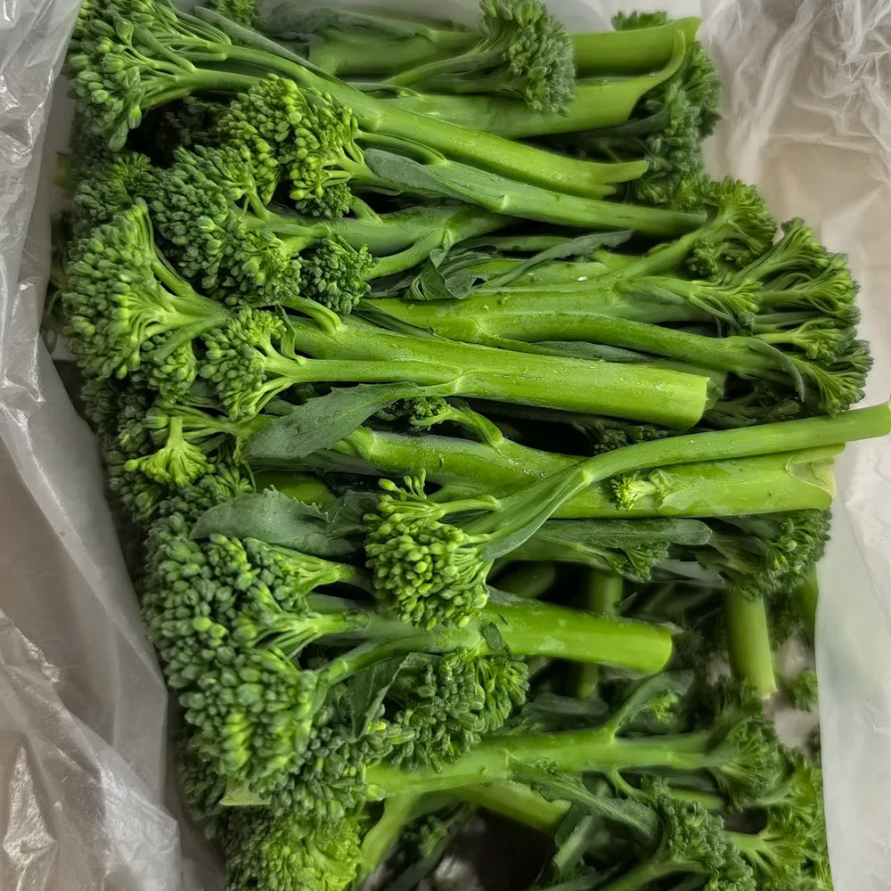 W962 Jie Mei Sprouting Broccoli